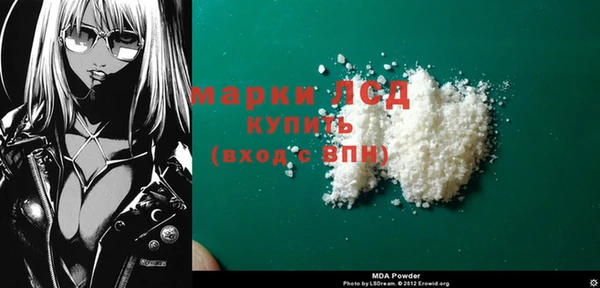 индика Бородино