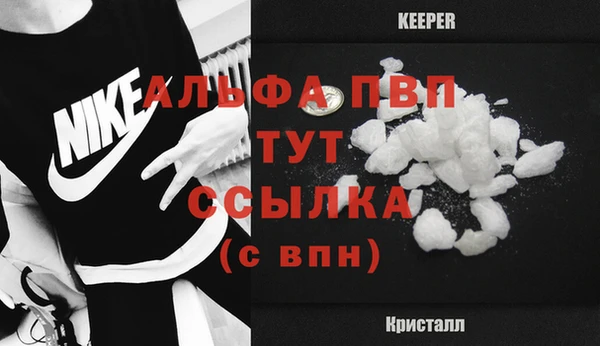 индика Бородино