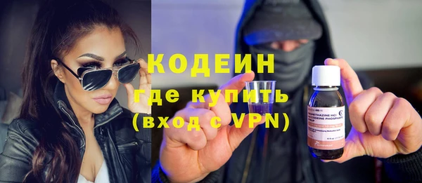 индика Бородино