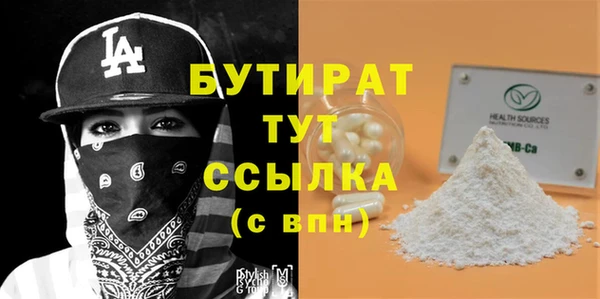 индика Бородино