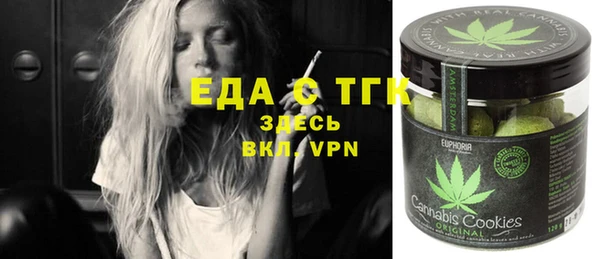 индика Бородино
