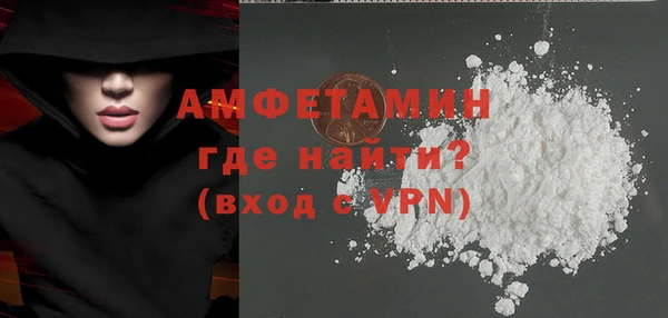 индика Бородино