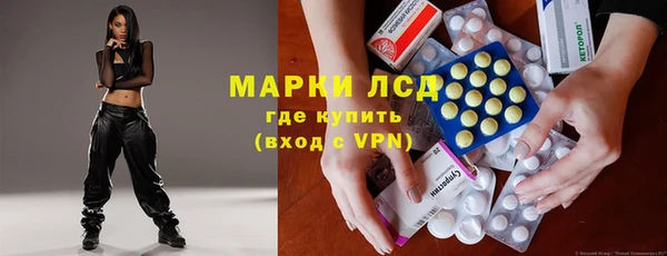 индика Бородино