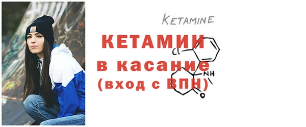 индика Бородино