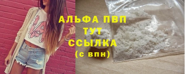 индика Бородино