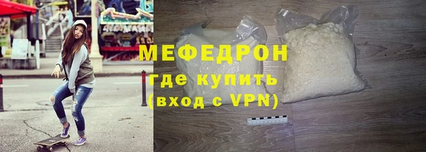 индика Бородино