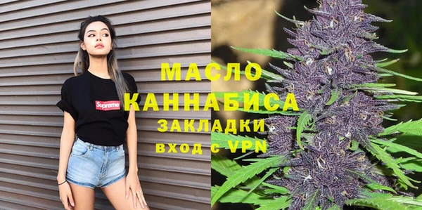 индика Бородино